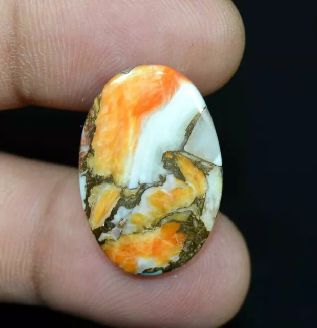 15.95 Cts. Natural Mohave Spiny Oyster Copper Turquoise Cabochon Loose Gemstone