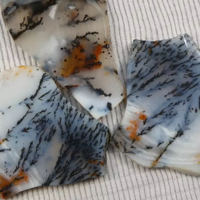 RimRock: 3 MEXICAN PARRAL DENDRITIC AGATE Rough Slices