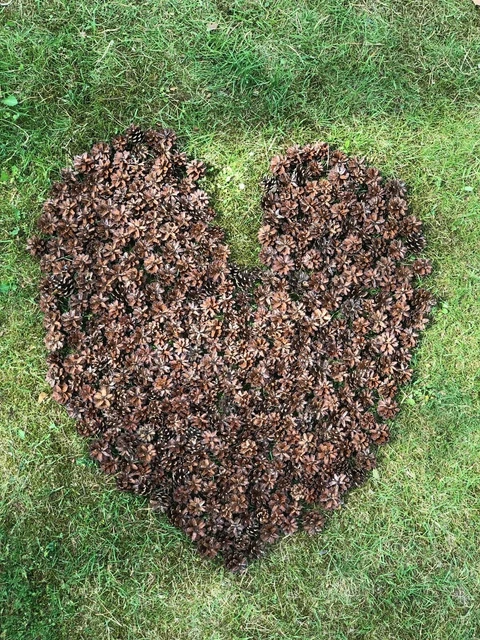 200 Kiefernzapfen Dekorieren/ Basteln/ Insektenhotels/ Weihnachten/ Advent