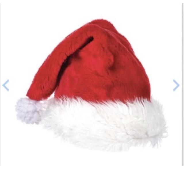 DISNEY CAST MEMBER costume Mickeys Very Merry Christmas Party Santa Hat