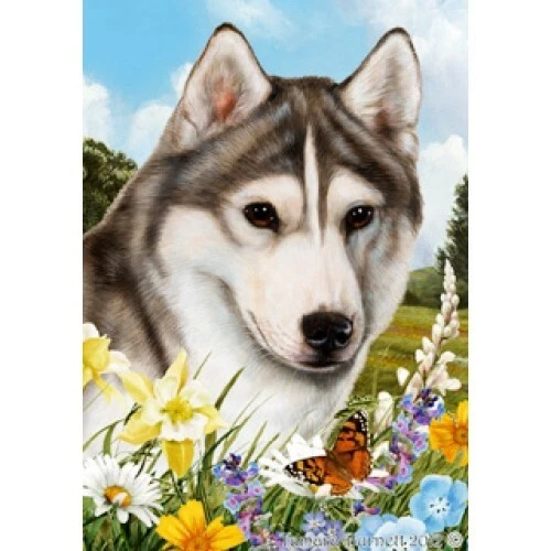 Summer Garden Flag - Brown-Eyed Grey and White Siberian Husky 180181