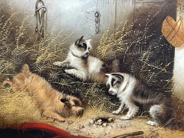 Huile Peinture 3 Chasse Terrier Chiens " Un Sharp Lookout " Edward Armfield 2