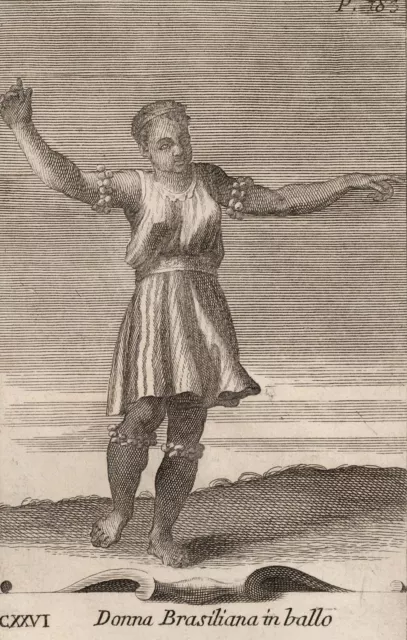 BRASILIANISCHE SCHELLEN - Bonanni - Westerhout - Kupferstich 1716