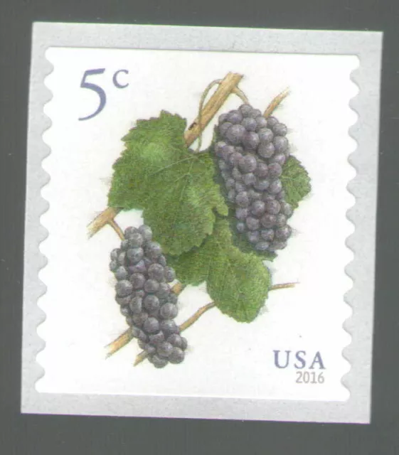 US. 5177. 5c. Grapes. Coil Single. MNH. 2017