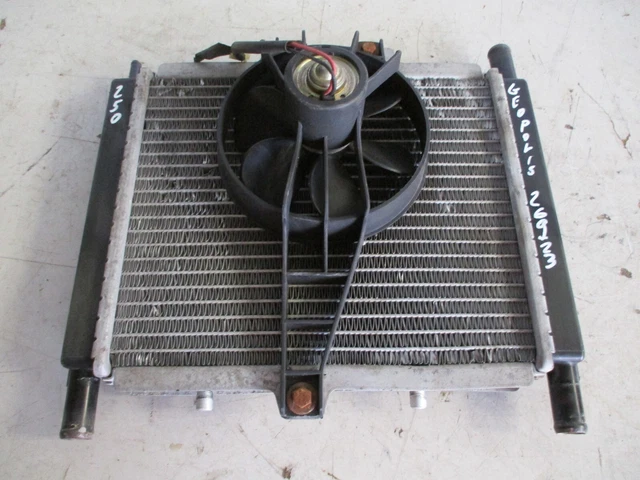 Radiatore Ventola Radiatori Ventole Peugeot Geopolis 250 2005 2012 Radiator Fan