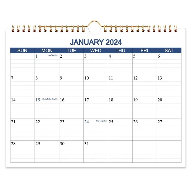 CALENDAR 20242025 Wall Runs from Jan 2025 to June 202518 Blue 18.