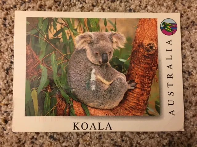 Dr Jim Stamps Vintage Postcard Kuala Australia 1995 Nu Color Vue Old