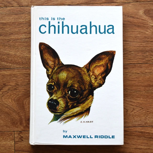 THIS IS THE Chihuahua Dog Breed Maxwell Riddle Hardcover 1959 Vintage ...