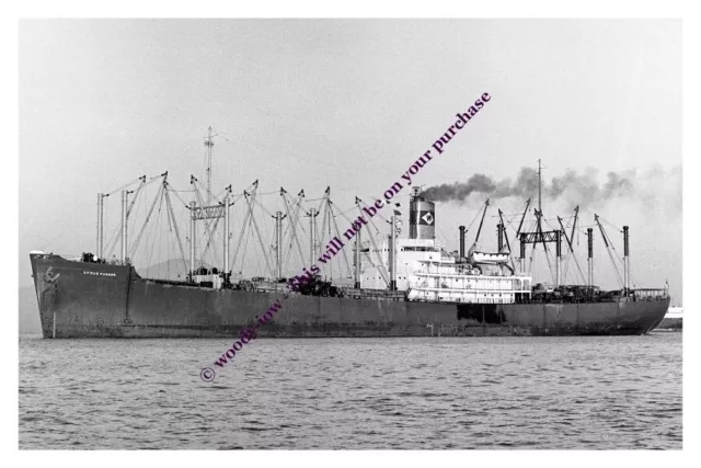 mc1495 - USA Cargo Ship - Citrus Packer , built 1945 - photo 6x4