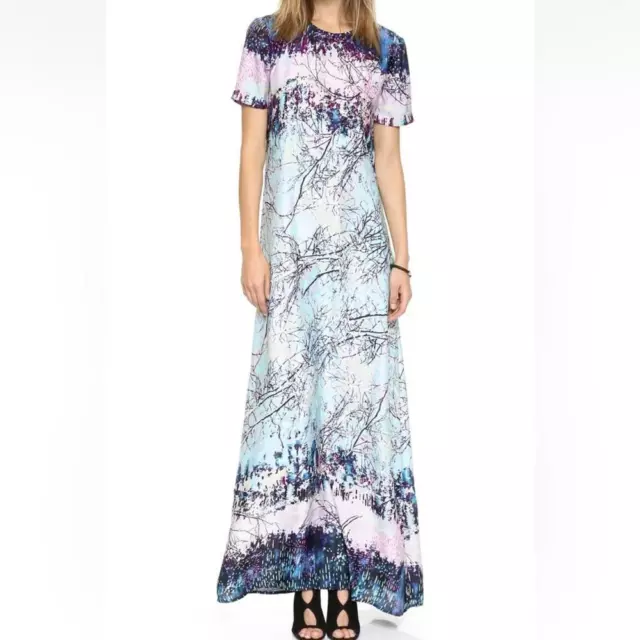 BCBGMAXAZRIA l Alena Printed Maxi Dress Small