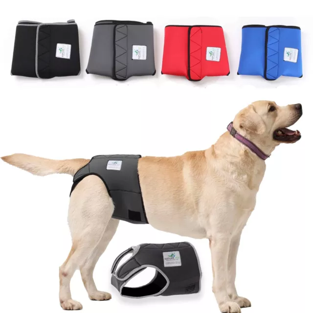 Hunde Läufigkeitshose / Inkontinenzhose für Hunde ohne Einfädeln der Rute
