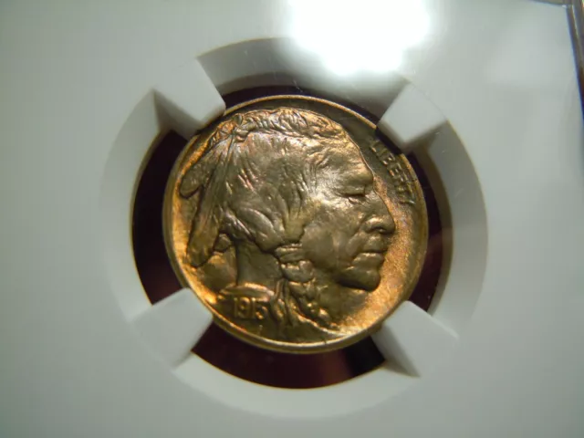 Pristine 1913 P buffalo nickel NGC MS-66 Prooflike quality !!!