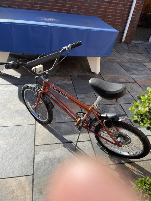 raleigh grifter mk1 for sale