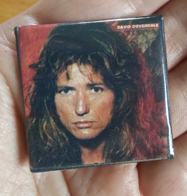 80s Vintage ~ DAVID COVERDALE ~ Whitesnake ~ Pin Pinback Button Badge