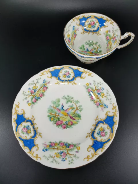 Foley E. Brain & Co. Desert Plate & Tea Cup Blue Broadway Roses Bird of Paradise