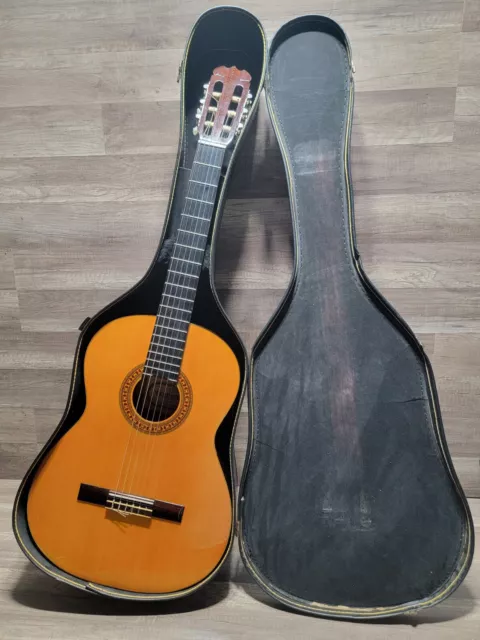 Hohner hg14 cheap