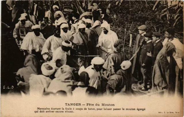 CPA AK TANGER Fete du Mouton MAROC (689054)