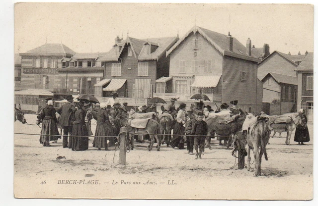 Thème ANES Donkey - Promenade à Anes - BERCK PLAGE les anes le parc