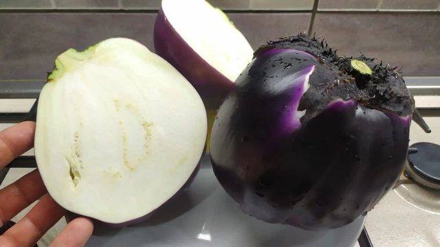 Coltivazione Melanzana - Coltivazione Ortaggi - Come Coltivare Melanzane - Foto 3