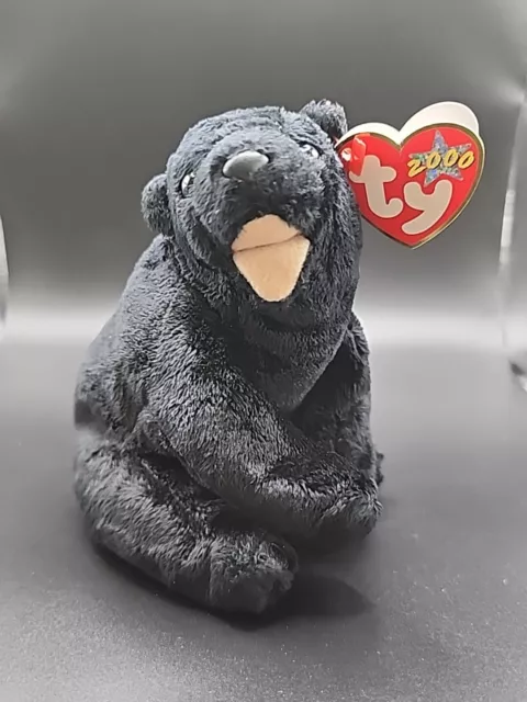 CINDERS™ THE BEAR Ty™ 6TH GEN BEANIE BABY 2000  RETIRED VERY SOFT