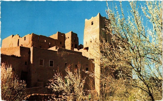 CPM AK MAROC - Casbah du sud au printemps (329300)