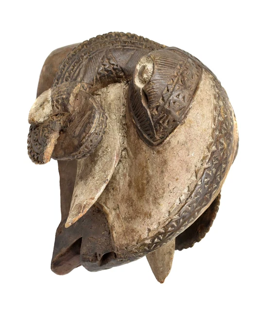 Baule Ram Mask Gbagba White Cote d'Ivoire African