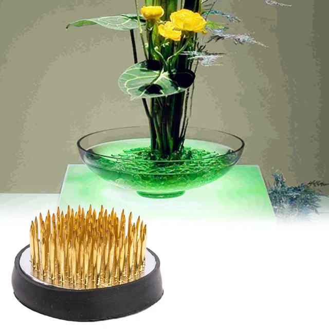Supporto composizione floreale rana da fiore durevole 7 taglie 7 taglie