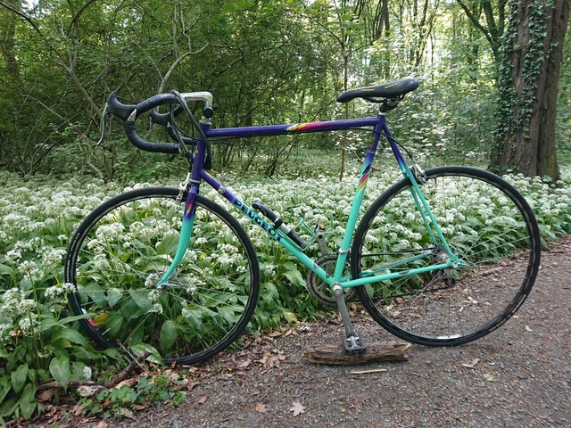Joli Vélo - Überholte Vintage Rennräder