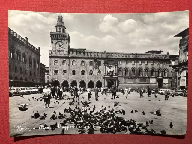 Cartolina - Bologna - Piazza Maggiore e Palazzo Comunale - 1950 ca.