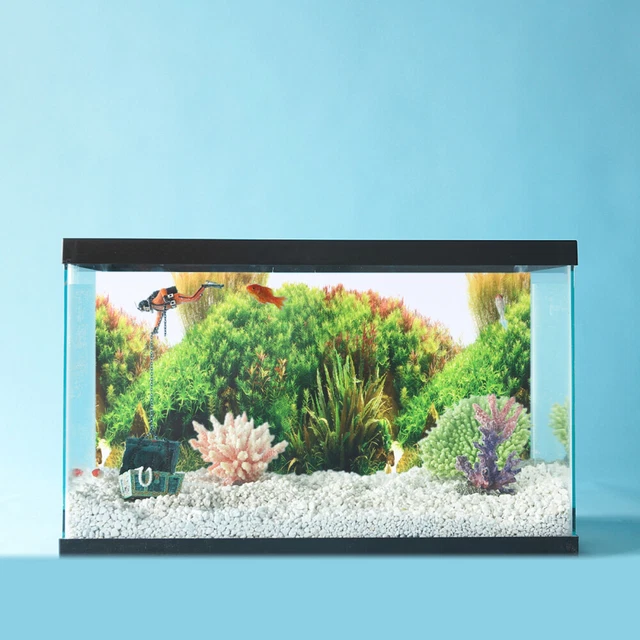 Aquarium Image de Fond Aquarium Décoration Milieux