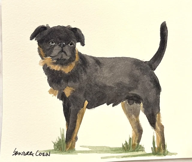 Brussels Griffon Original Watercolor by Sandra Coen Standing smooth Coat