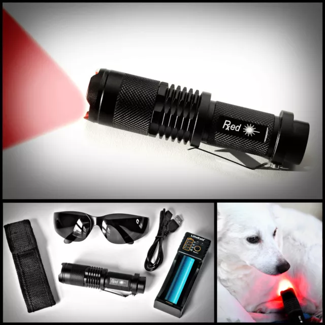 Red LED Light Therapy Kit for Pets- Naturally Treat Joint Pain, Promote Healing