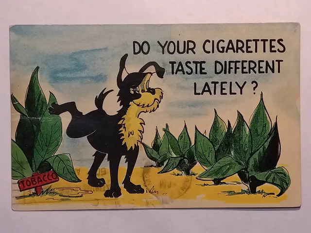 VINTAGE COMIC POSTCARD Dog Tobacco Do Your Cigarettes Taste Different Lately?  £6.99