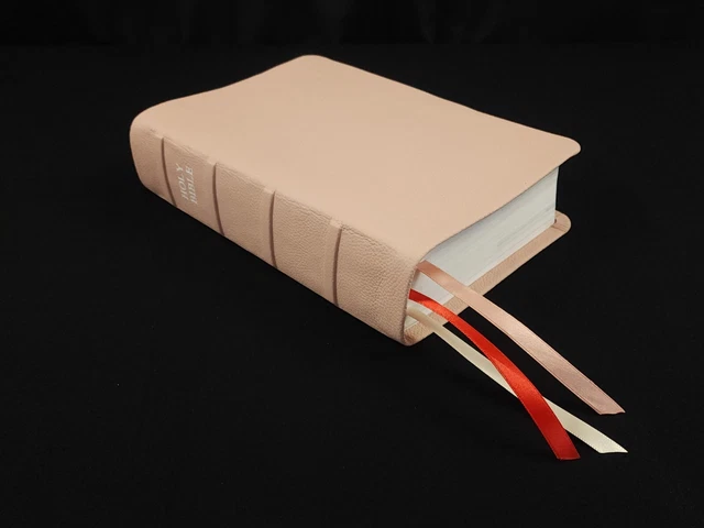 Premium Leather Bible - CSB She Reads Truth Bible in Pink Cowhide Premium Leather Bible - CSB She Reads Truth Bible in Pink Cowhide