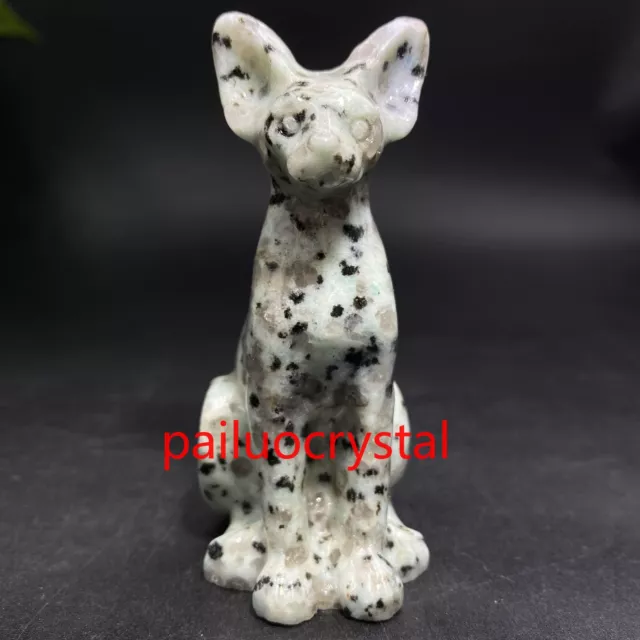 1pc Natural tianshan blue Hairless cat Quartz Crystal Skull Carved Figurines 3"