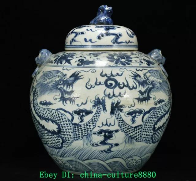 15 "dynastie qingham porcelaine Longteng grain pot grain Crocodile cuir