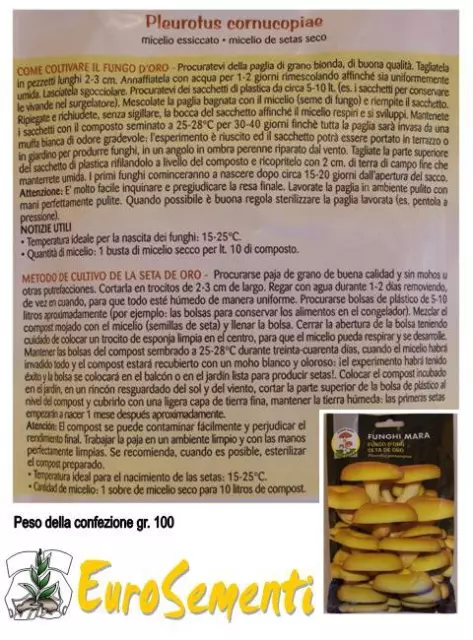 1 Confezione MICELIO SECCO DI FUNGHI - Fungo D'oro 100 gr 2