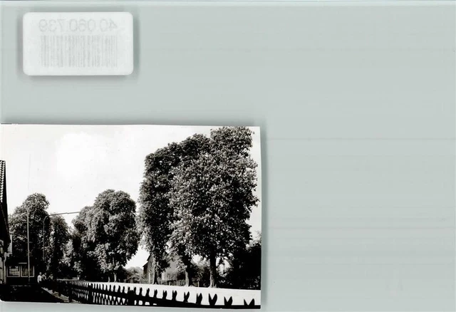 40060739 - 4920 Lemgo Chestnut Wall