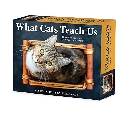 WHAT CATS TEACH Us 2023 Box Calendar $25.47 - PicClick