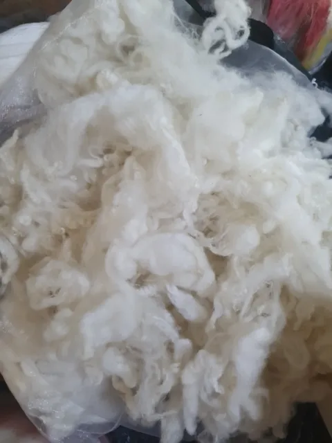 100gr  Fine Lambs Wool Washed Fleece Spinning Felting Crafts