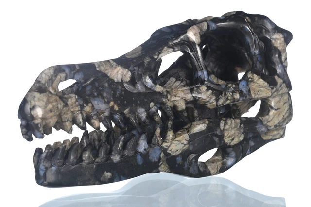 Criatura mística tallada T-Rex de 5,08" tallada en llanlita natural #35S07