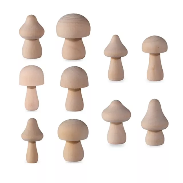 Various Sizes Natural Unfinished Mushrooms Develop Artistic Minds School-age Kid
