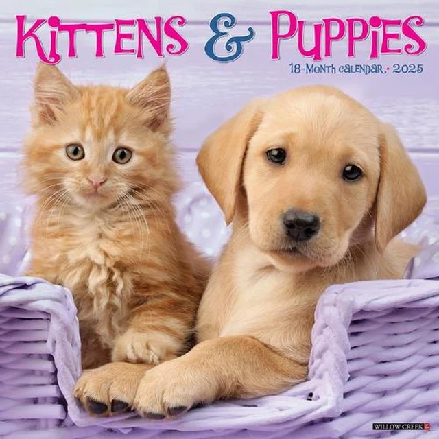 KITTENS &amp; PUPPIES 2026 12 X 12 Wall Calendar by Willow Creek Press £28. ...