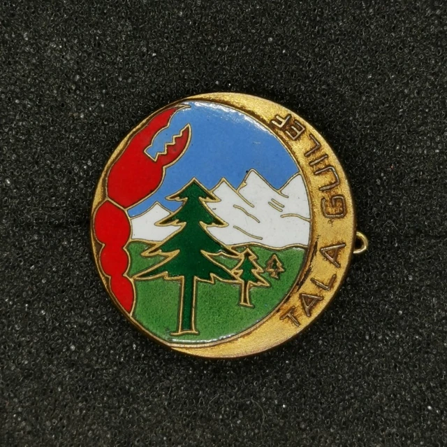 Insigne Authentique émaillé UT ORANIE Unités Territoriale AFN Algérie Police 1955