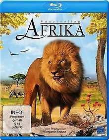 Faszination Afrika [Blu-ray] von Eicher, Benjamin, Mayer,... | DVD | Zustand gut