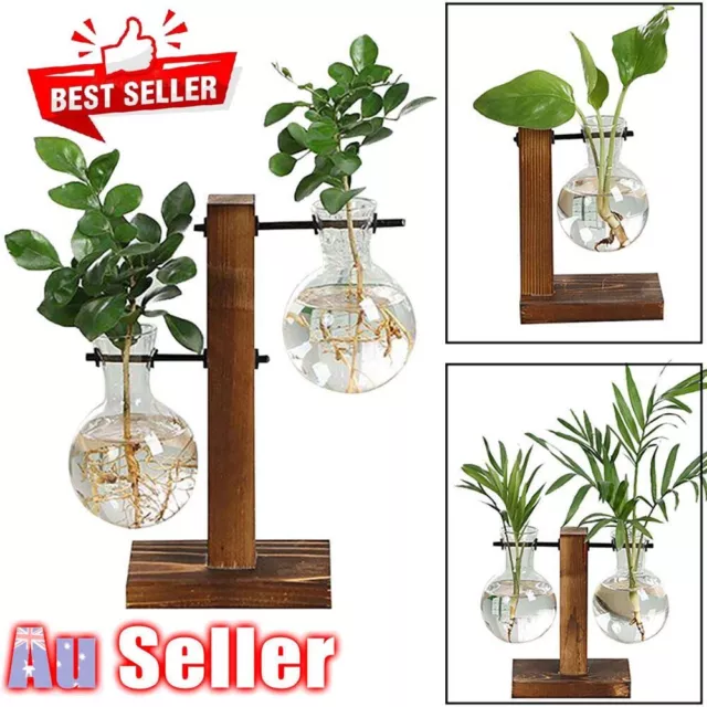 Plant Propagation Station Desktop Bulb Glass Vase With Wooden Stand Hydroponics✅