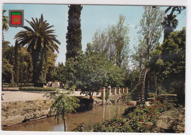 Cpsm Morocco Fes Boujeloud Garden Color Postcard