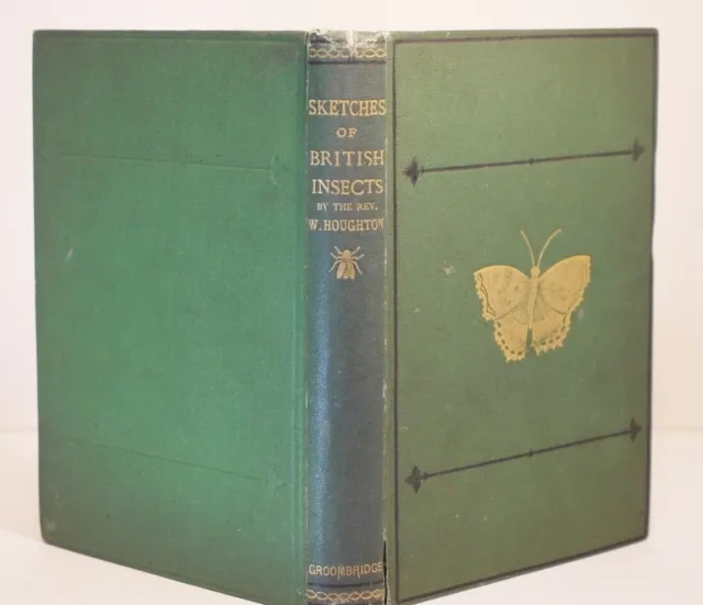 * Rare * Rev W Houghton Sketches of British Insects (Entomology) 1st Edn 1875