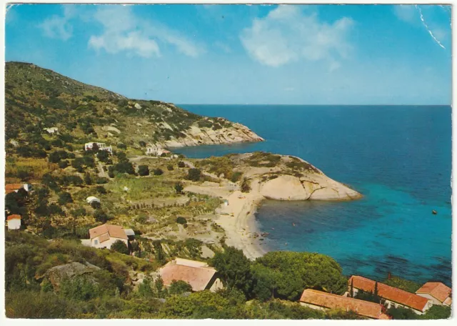 Isola Del Giglio - Grosseto - L'arenella - Viagg. -2979-