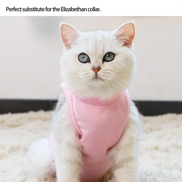 Combinaison De Récupération De Chat Après Chirurgie Cat Wear E-Collar